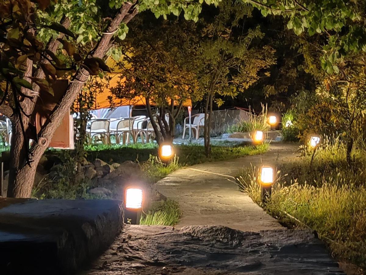 Grapes Garden Resort Hunza Karimabad  Buitenkant foto