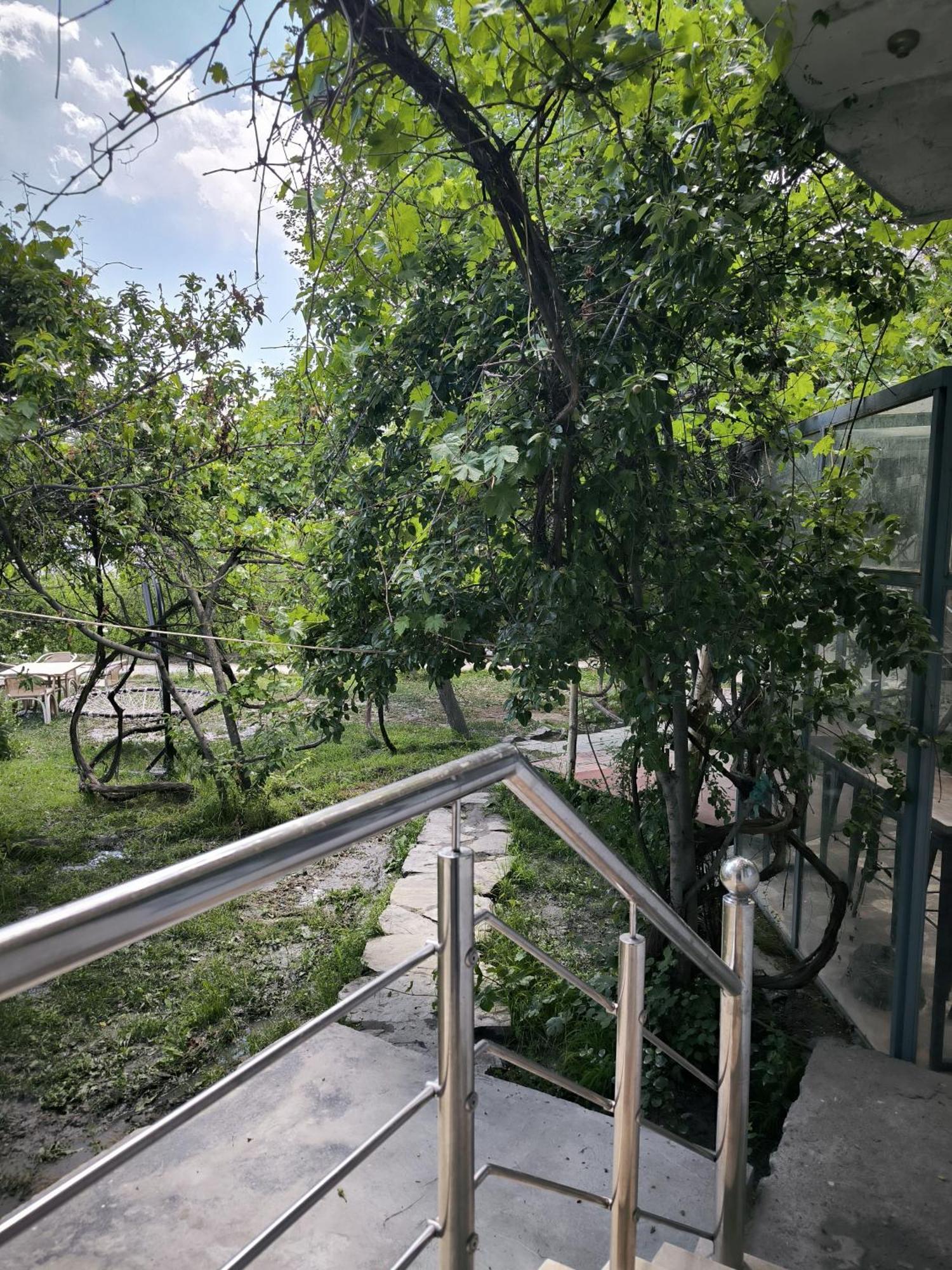 Grapes Garden Resort Hunza Karimabad  Buitenkant foto