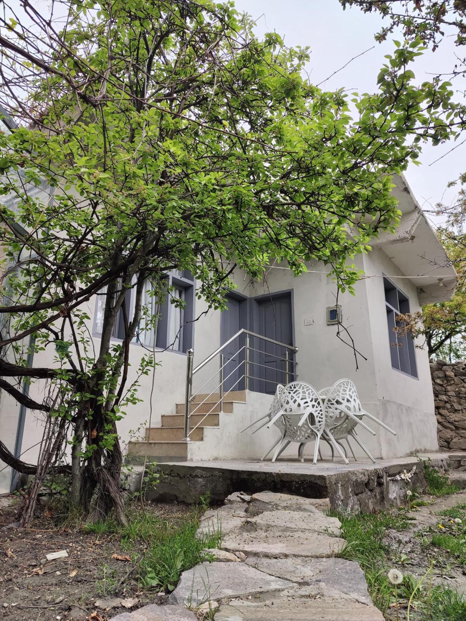 Grapes Garden Resort Hunza Karimabad  Buitenkant foto